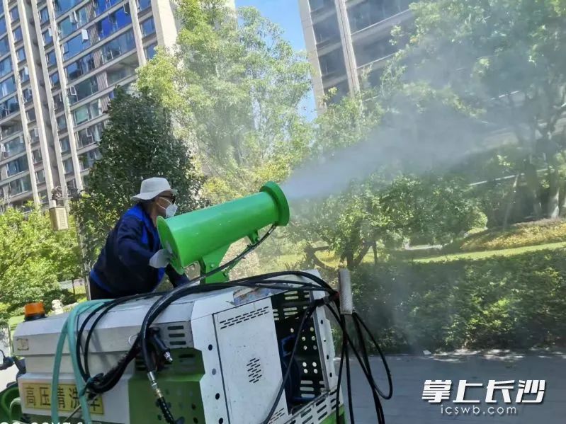 长沙多部门联动全城灭蚊。均为通讯员供图
