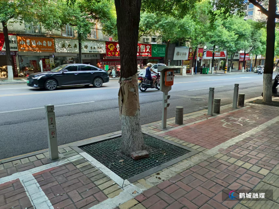 微信图片_20250801103008.jpg