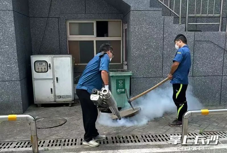 灭蚊现场。