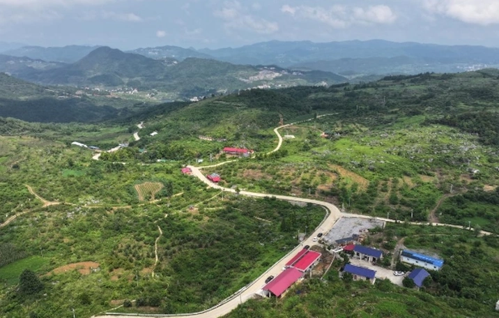 湖南新化：西瓜成熟 瓜香四溢迎丰收