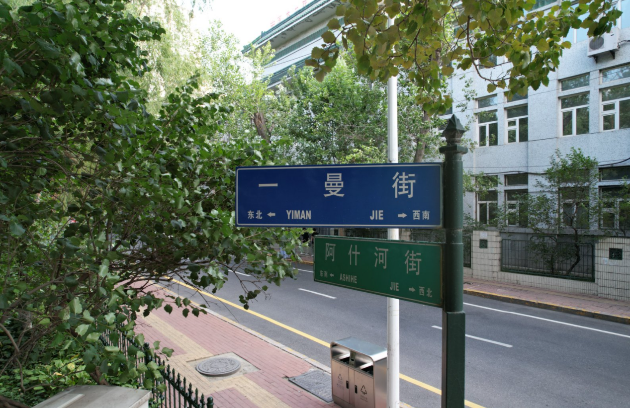 AI中国风格丨“哈尔滨有人类街道”