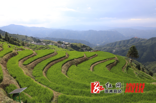 微信截图_20250802143900.png