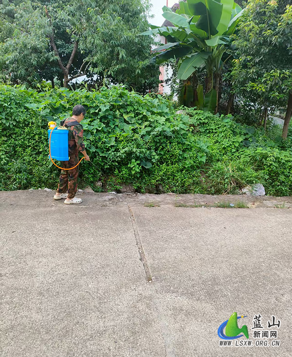 大砠村：灭蚊行动进行时，筑牢基孔肯雅热防线.jpg
