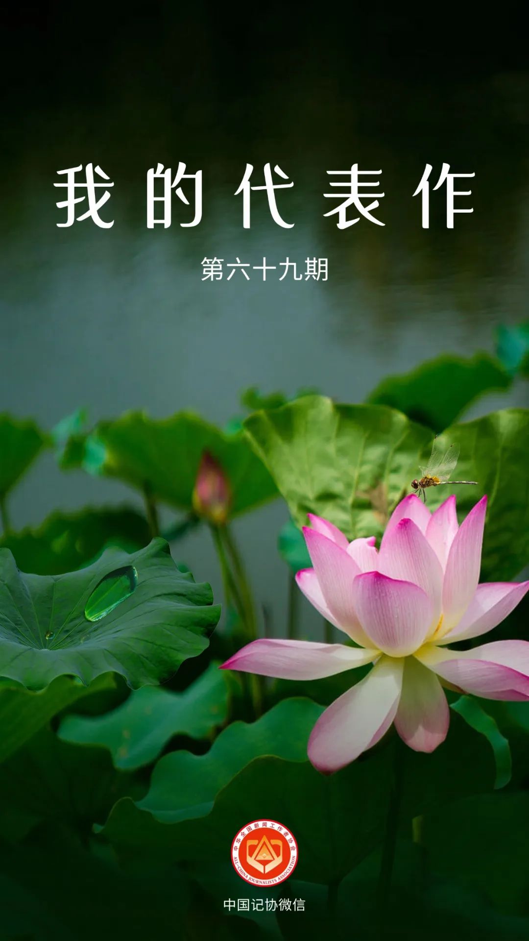 在列表中！恭喜代表的工作