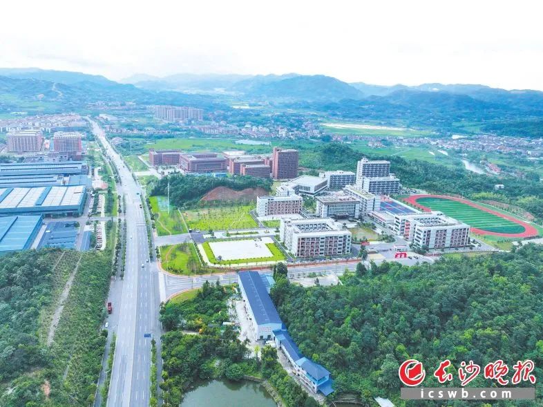 　　恒雅高级中学道路两厢绿化提质后，成了一道风景线。邹麟 摄