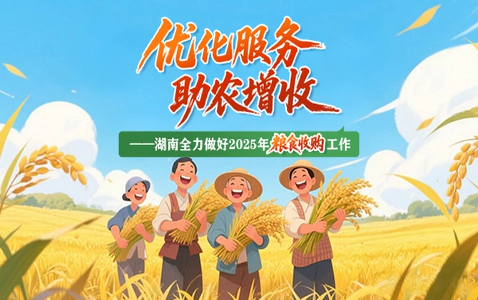 专题 | 夏粮收购忙 稻谷盈满仓