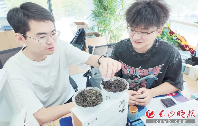 今天，他们为什么在长沙创业
