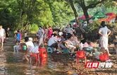 零陵良湾村激活“清凉经济” 村民家门口端稳“生态碗”