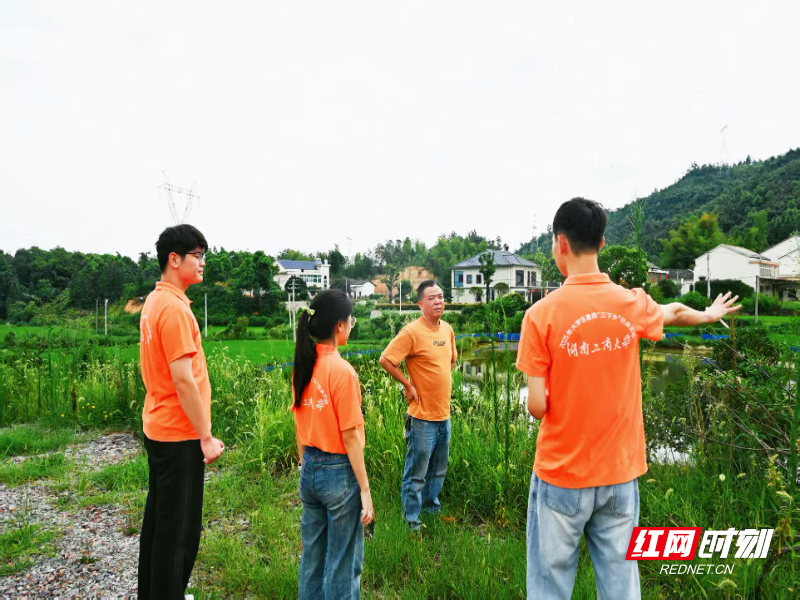 图为调研团在负责人带领下实地考察水稻田 李麦摄