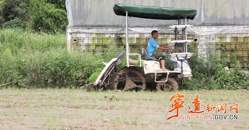 寧遠：立體產業激活鄉村振興密碼2_副本500.png
