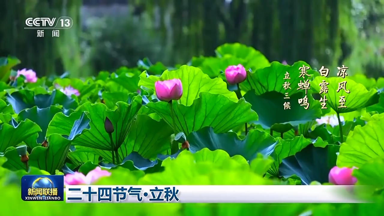 中国文化之旅丨二十四个太阳能·从秋天开始的夏