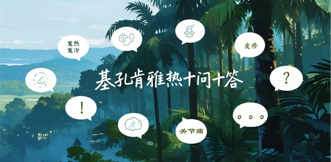 基孔肯雅热全球分布