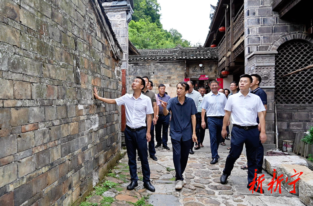 彭洪兵调研文物保护工作(图1)