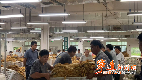 宁远禾亭镇：以规范举措筑牢烟农增收路_副本500.png
