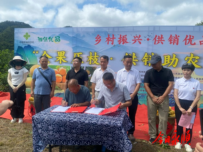 顺：黄桃直播带货助农增收 打通农产品上行“最后一公里” (1).jpg