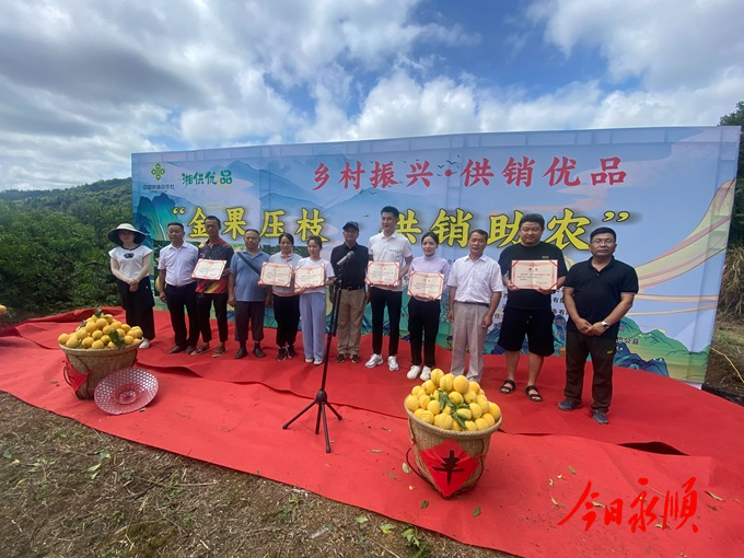 顺：黄桃直播带货助农增收 打通农产品上行“最后一公里” (3).jpg