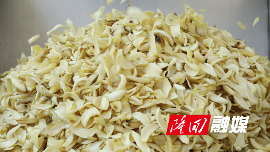 隆回：龙牙百合迎丰收  特色产业助增收 - frame at 3m49s.jpg