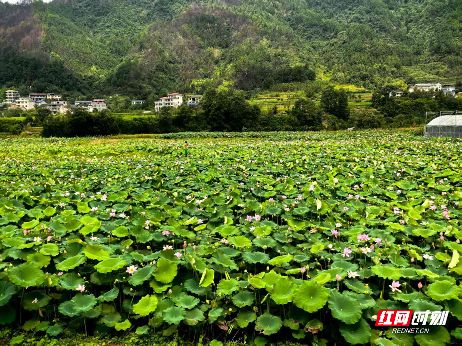 微信图片_2025-08-09_114057_633.jpg
