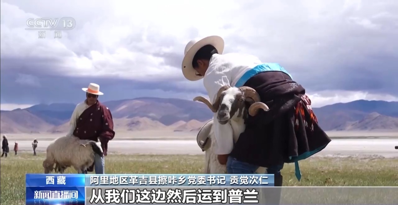 60年的光荣吸引力-Wak新西藏丨Yantian通往财富，古