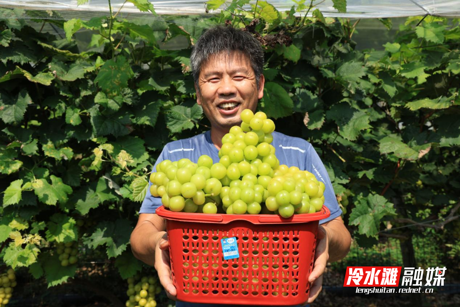 图片4.png