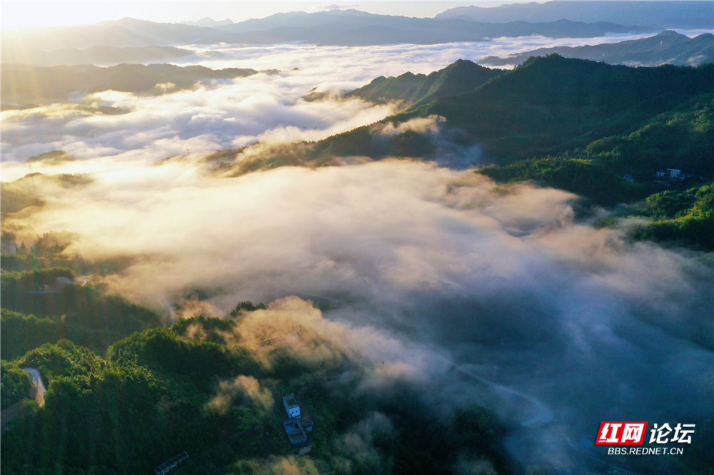 每日一图@湖南丨青娥山晨雾漫卷，定格天地间水墨丹青