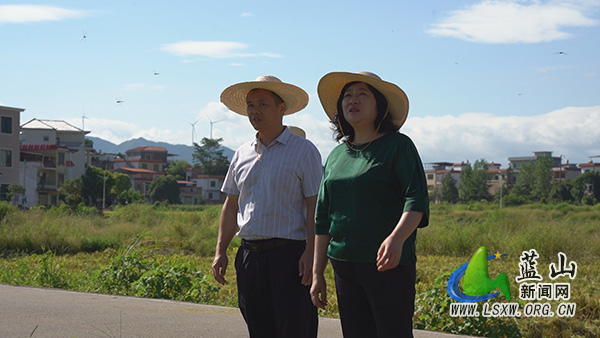 蓝山：邓群调研督导粮食生产工作和基孔肯雅热、登革热防控工作.jpg