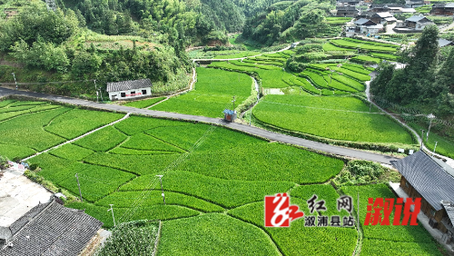 DJI_0541.MP4_snapshot_00.01.710.jpg