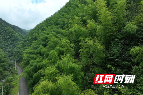 DJI_0446.MP4_snapshot_00.04.004.jpg