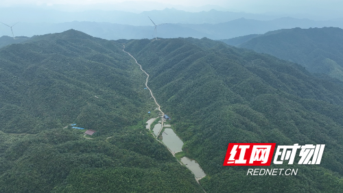 DJI_0433.MP4_snapshot_00.02.020.jpg