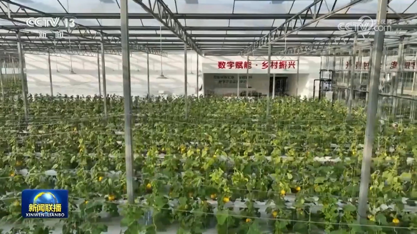 新的想法导致了新的旅程丨数字农村建设有助于