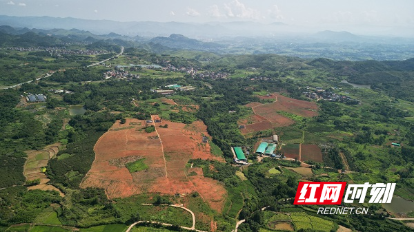 DJI_0615.JPG