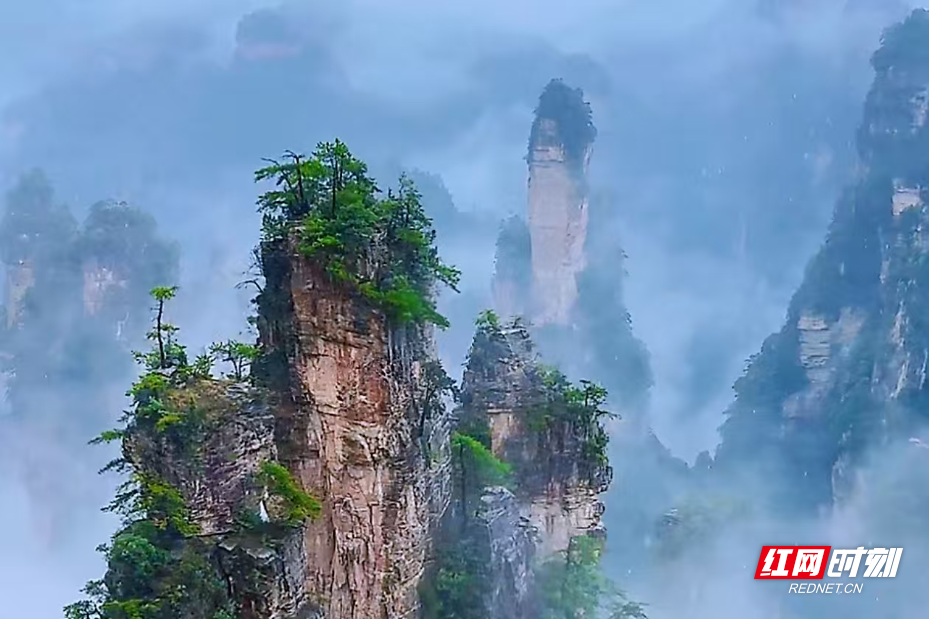 微信图片_2025-08-12_130245_918.jpg