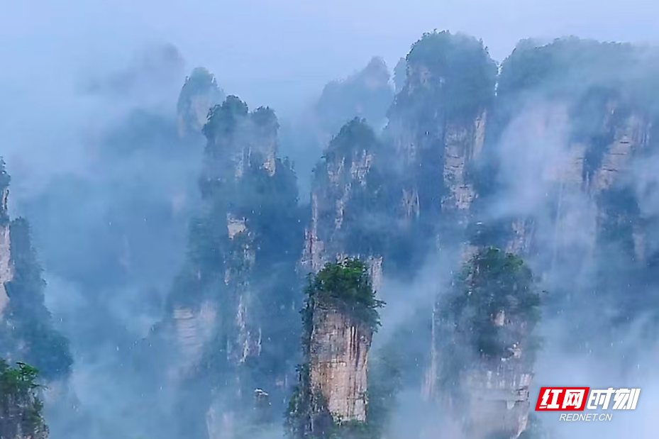 微信图片_2025-08-12_130311_221.jpg