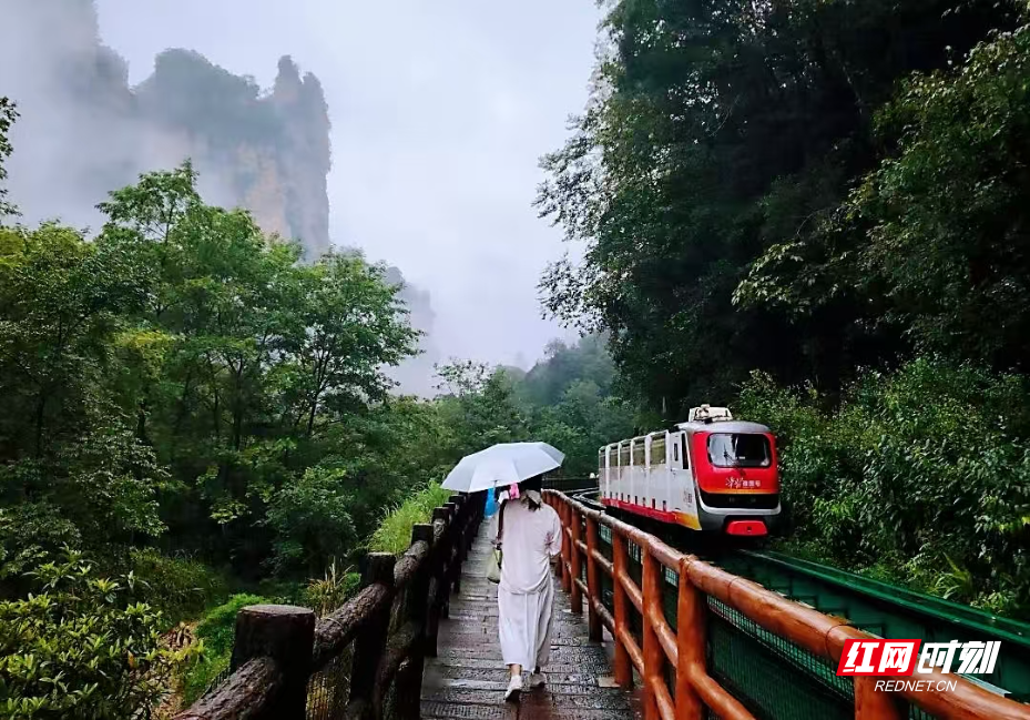微信图片_2025-08-12_130235_174.jpg