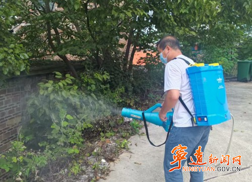 宁远保安镇：多措并举构筑“两热”防控屏障3_副本500.jpg