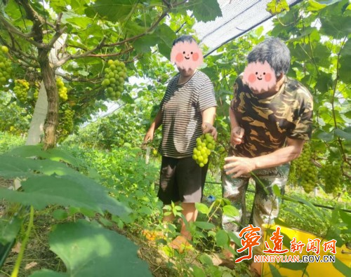 宁远民政局：“农疗”康复模式助力康复者重获新生2_副本500.jpg