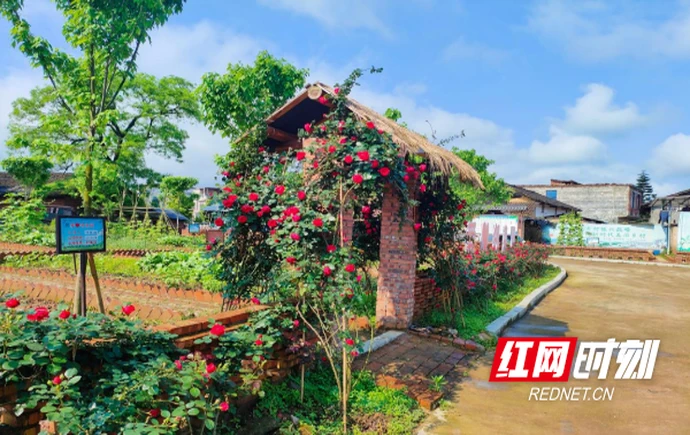 江永：美丽新宅 和谐宜居