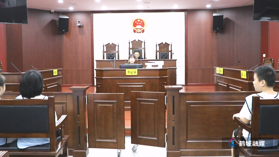 河西街道新园社区青少年走进国际陆港法庭 沉浸式体验司法实践.mp4_20250813_161409.419.jpg