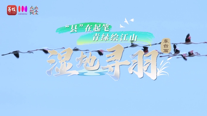 “县”始于笔的开头。绿色画了这个国家和宜人