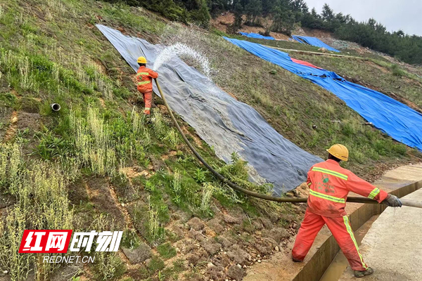 养护工人对“生态水泥毯”进行摊铺_副本_副本.jpg