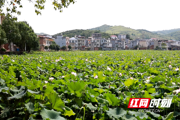 微信图片_2025-08-14_085723_591.png