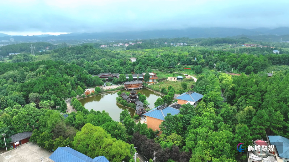怀化：雪峰山佳肴 天麻炖乌鸡（半成品4K）.mp4_20250814_165845.881.jpg