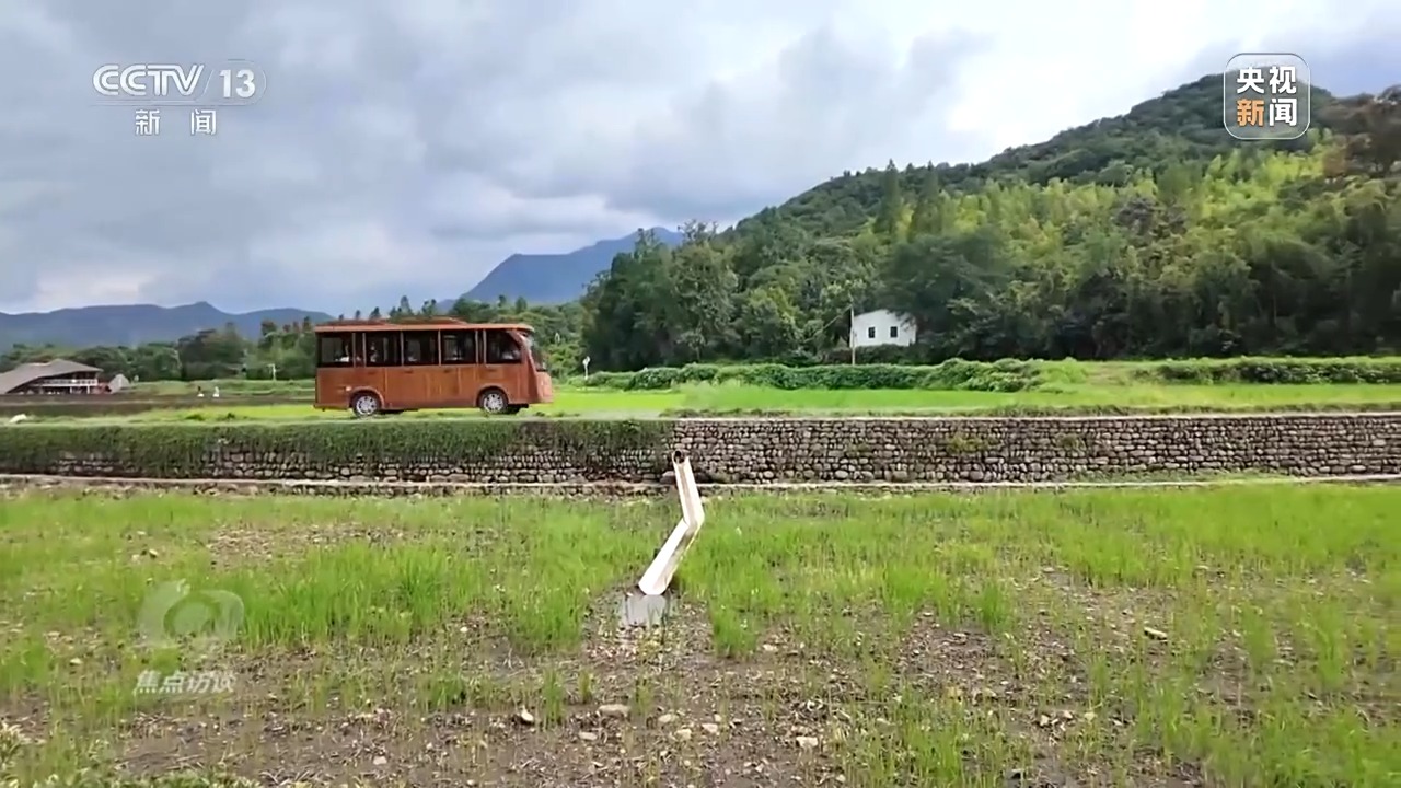 聚焦面试丨矿山转向绿山，并查看Yucun的蝴蝶蝴蝶