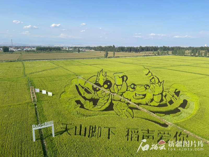 通过控制水和促进水来查看新疆|一个世纪实现了运