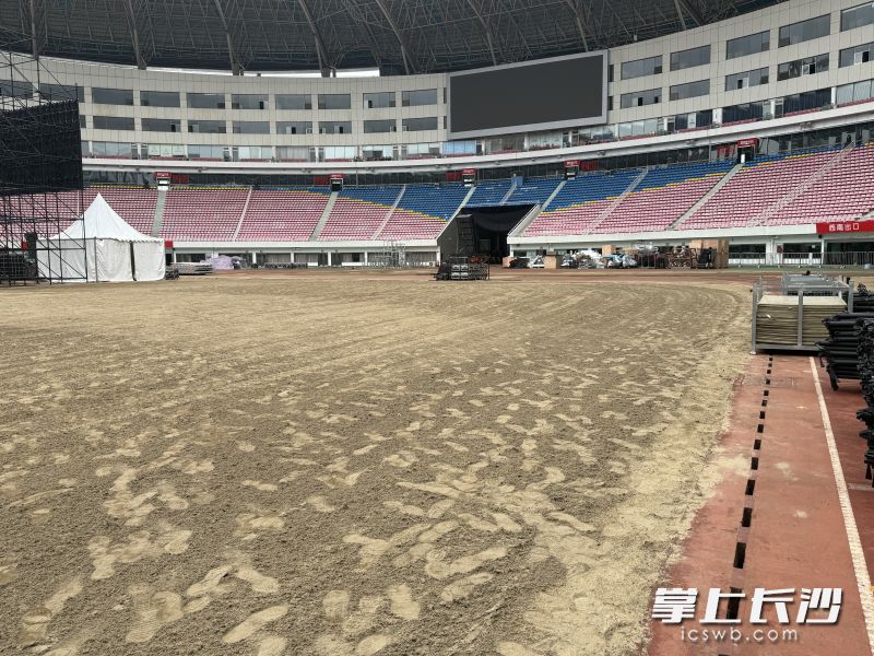 贺龙体育场已经启动了场地草坪的更换。受访者供图