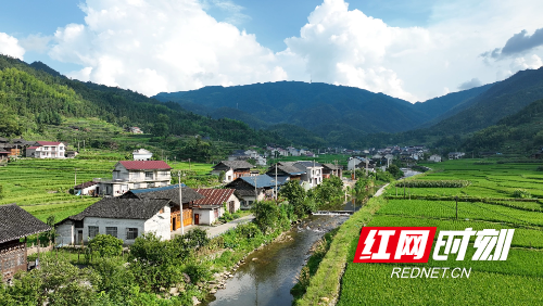 DJI_0473.MP4_snapshot_00.06.944.jpg