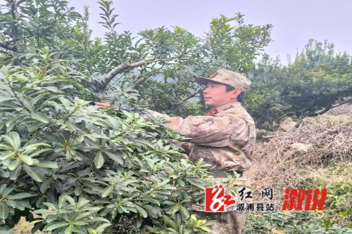 微信图片_20250815110706_258.jpg