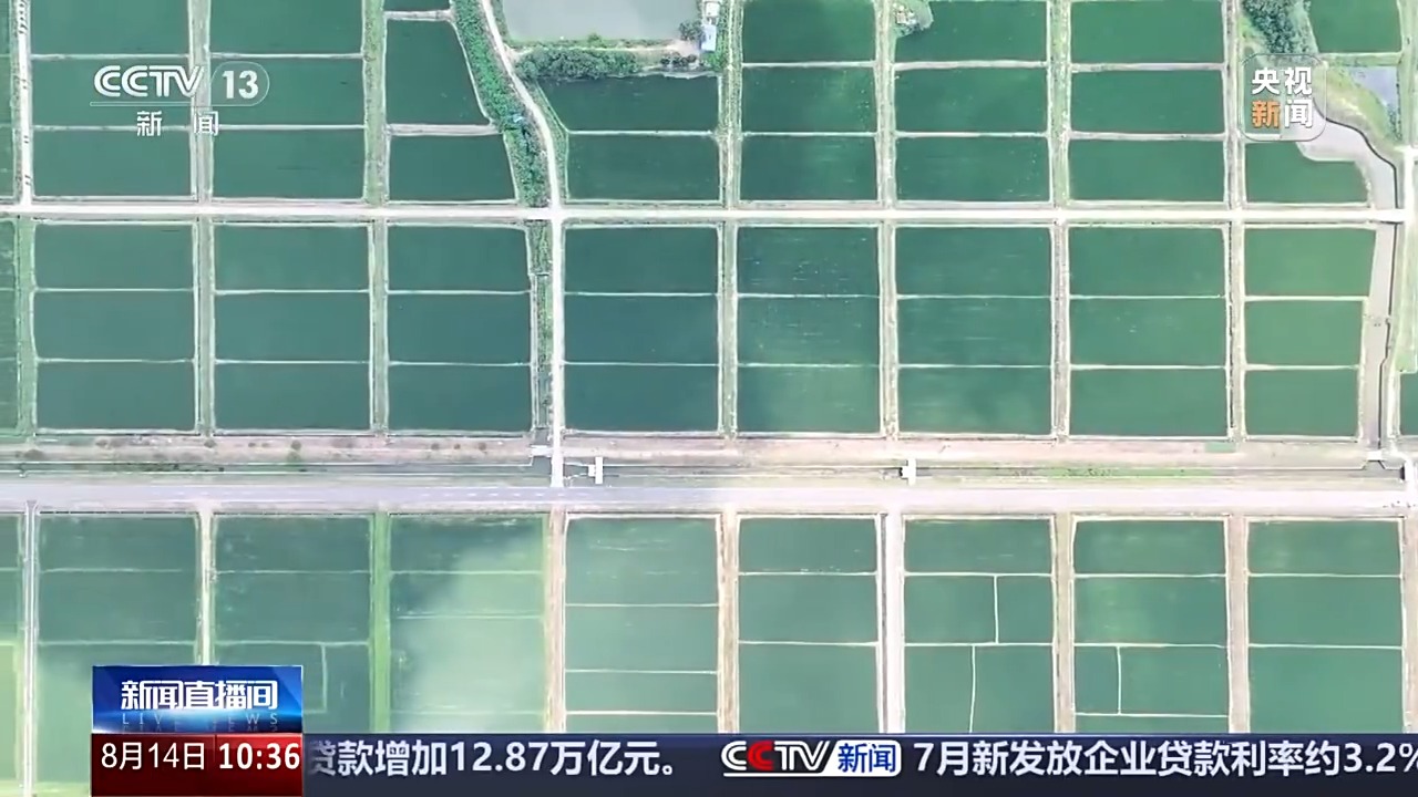大型模型和无人机正在农场成为新助手。秋季的秋季