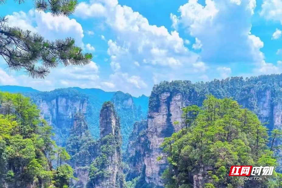 微信图片_20250817095947_42_112.jpg