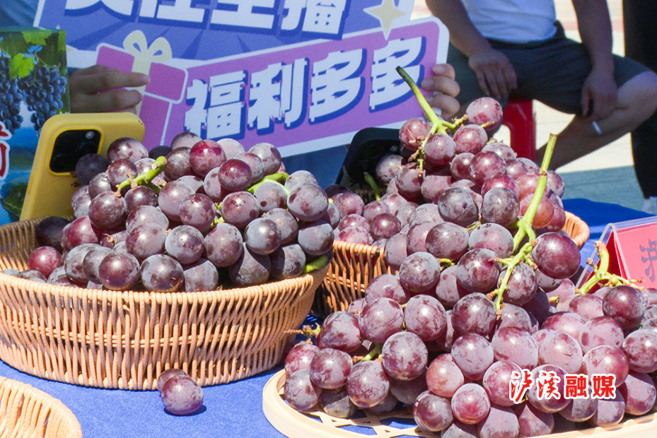 微信图片_20250817142533.jpg 微信图片_20250817142533.jpg